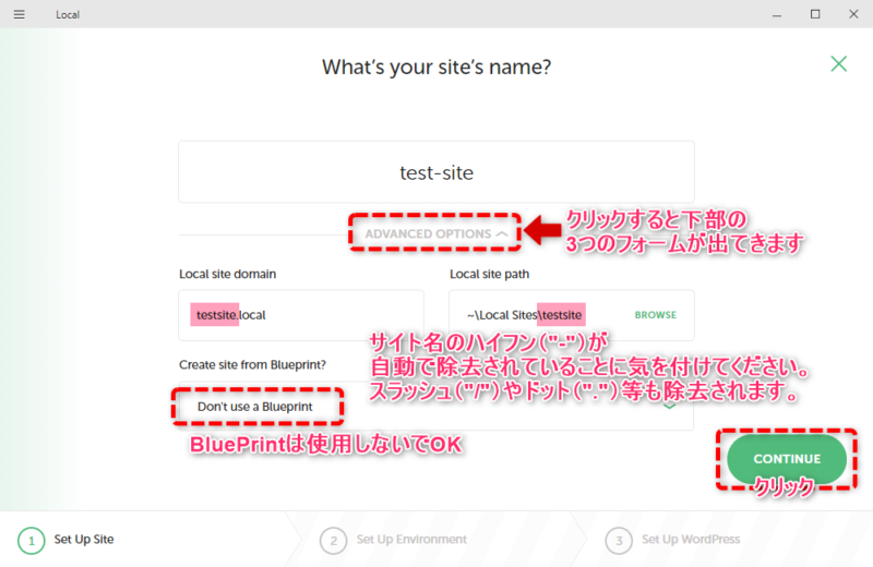 「LOCAL」のサイト作成方法 ADVANCED OPTIONS